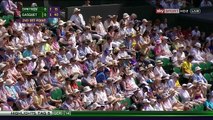 Richard Gasquet vs Grigor Dimitrov Wimbledon 2015 R3 Highlights HD