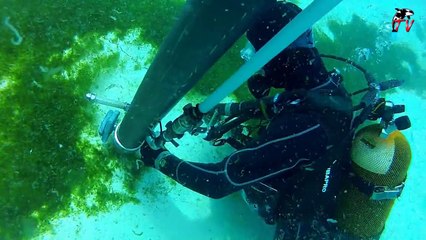 Marineland TV - Reportage N°62 - Le travail des plongeurs à Marineland