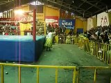Cholita wrestling in La Paz Bolivia (WWF)