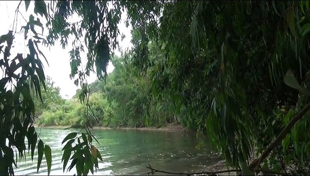 AYDIN ATASOY KADERSİZİM- TALİHSİZİM