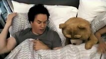 Seth MacFarlane Ted's Thunder song