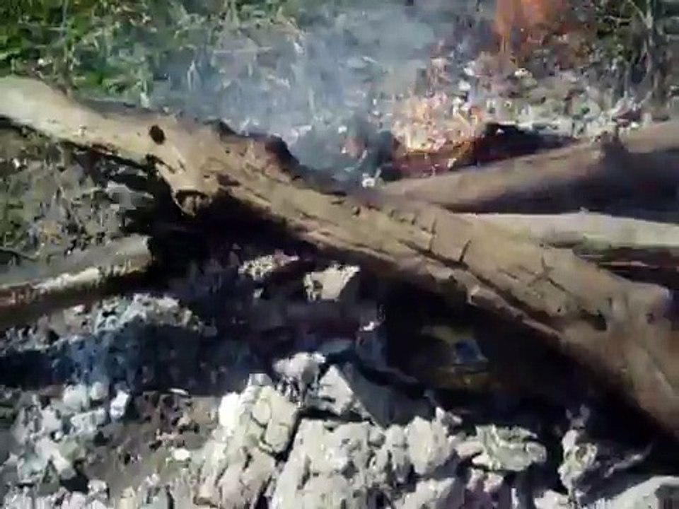 Cooking a turtle.