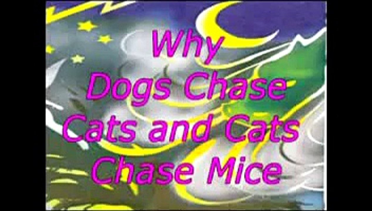 Why Dogs Chase Cats and Cats Chase Mice