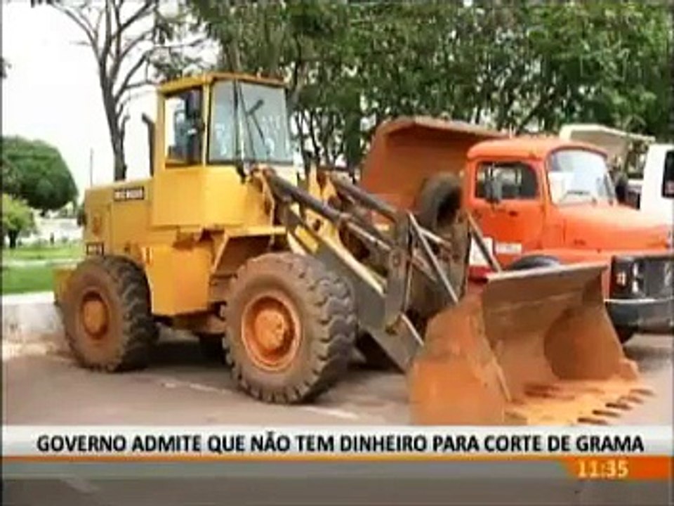 Mato alto