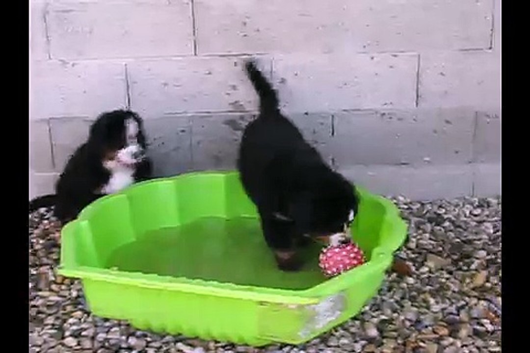 Laska et Louanne à la piscine