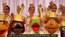 Muppets 2 Los Mas Buscados Pelicula Completa En Español Latino