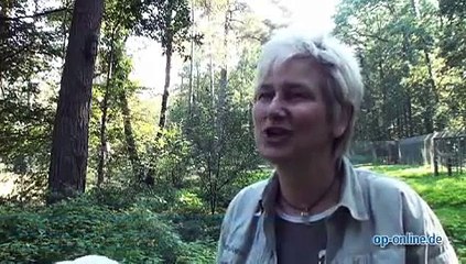 Die mit dem Wolf heult