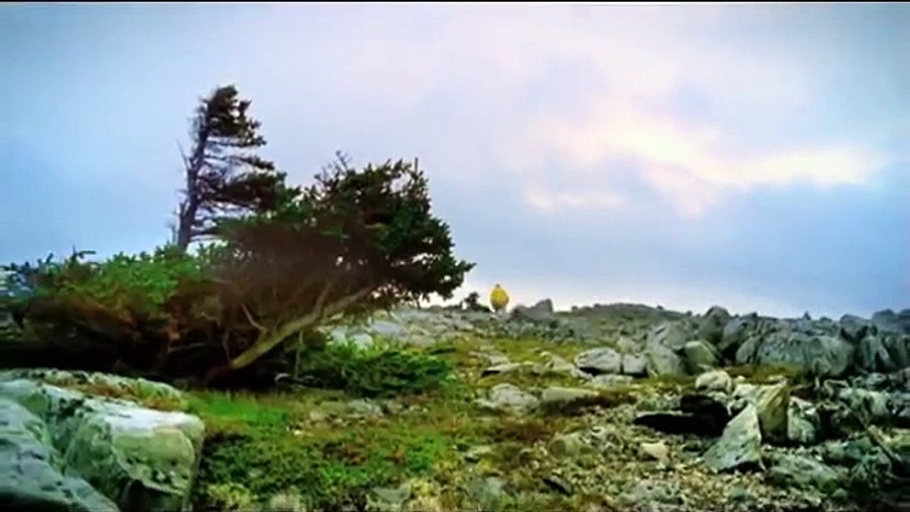 The Edge, TV Ad, Newfoundland and Labrador Tourism (HQ)