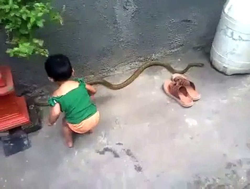 toddler when sees a snake