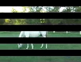 Bridging with xxxxX SATS® Kayce Cover