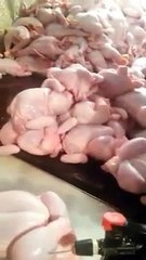 Worst Chicken Scandal