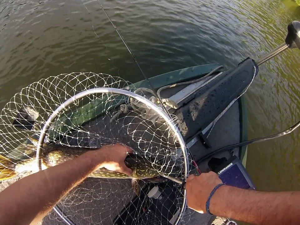 Brochets-Silure-Perches