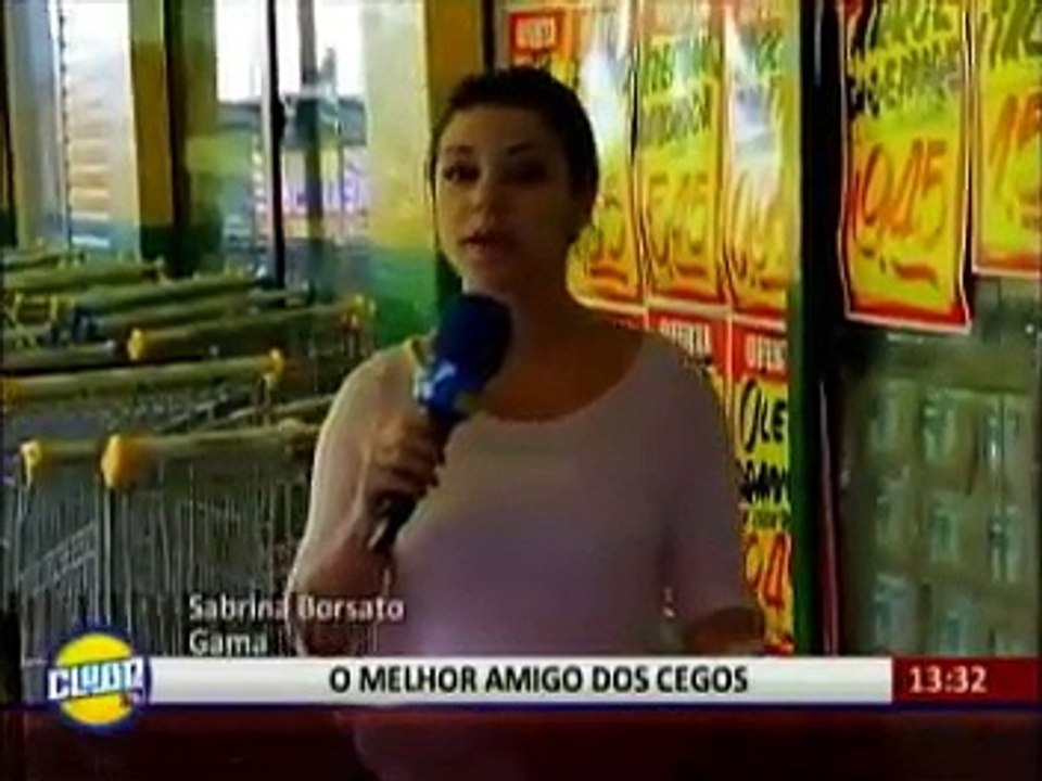 Cão guia