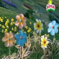 Teletubbies 01B