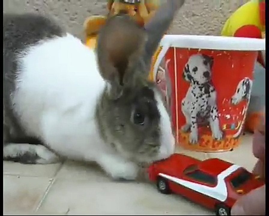 Vilain Lapin - Michel l'ingénieur informaticien.