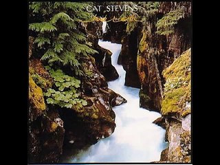 Cat Stevens - Last Love Song