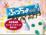 AKB48 　ぷっちょWebムービー全集