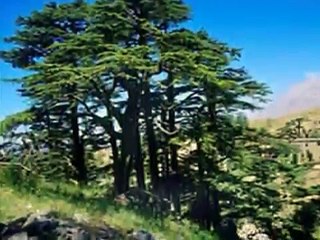 Fayroz Fayrouz Ya jabal leb3id.فيروز يا جبل لبعيد