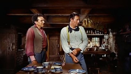 The Searchers (1956) Martin Pawley