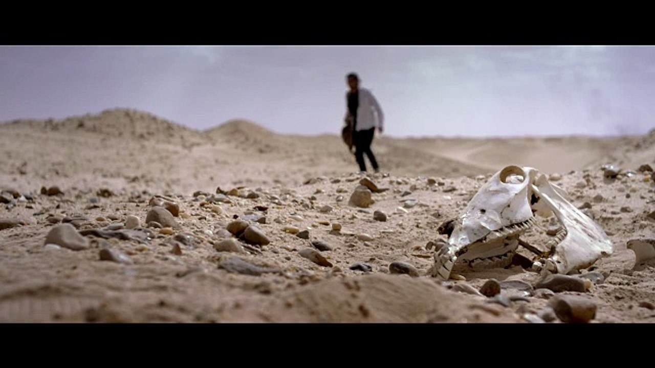 Aly & Fila feat. Roxanne Emery - Shine