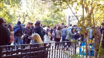 Tompkins Square Halloween Dog Parade Pt.2   2013