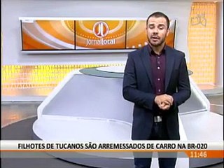 Crime ambiental