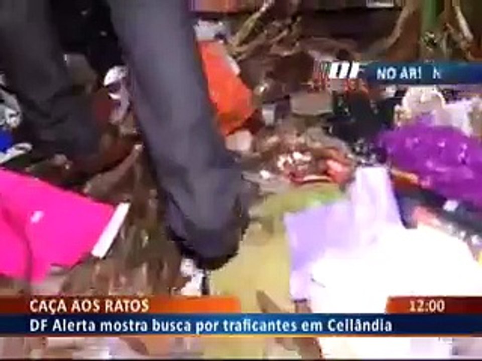 CAÇA AOS RATOS