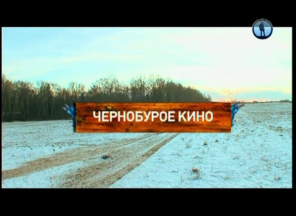 Рейтинг Тимофея Баженова — Чернобурое кино. Про животных