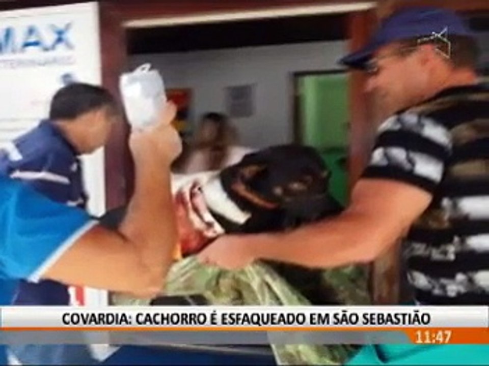 Agressão