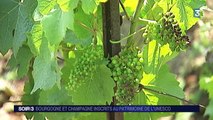 Bourgogne et Champagne inscrits au patrimoine de l'Unesco
