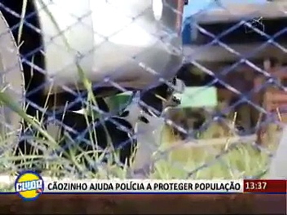 Segurança