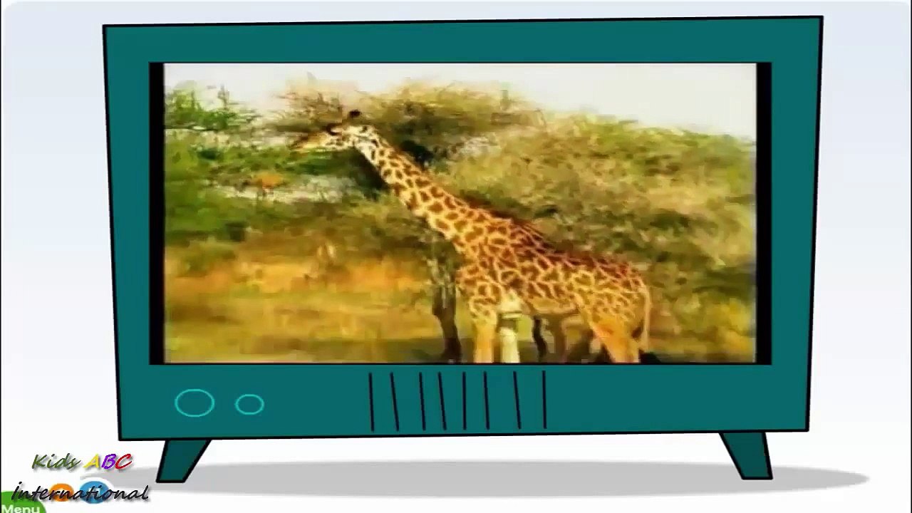 Learn About Wild Animals, Animal Sounds, Fun and Educational Videos for Kids
