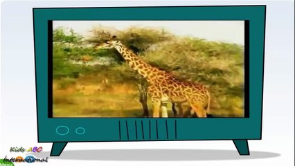 Learn About Wild Animals, Animal Sounds, Fun and Educational Videos for Kids