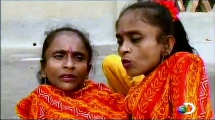 SIAMESAS - HERMANAS  ARAÑA