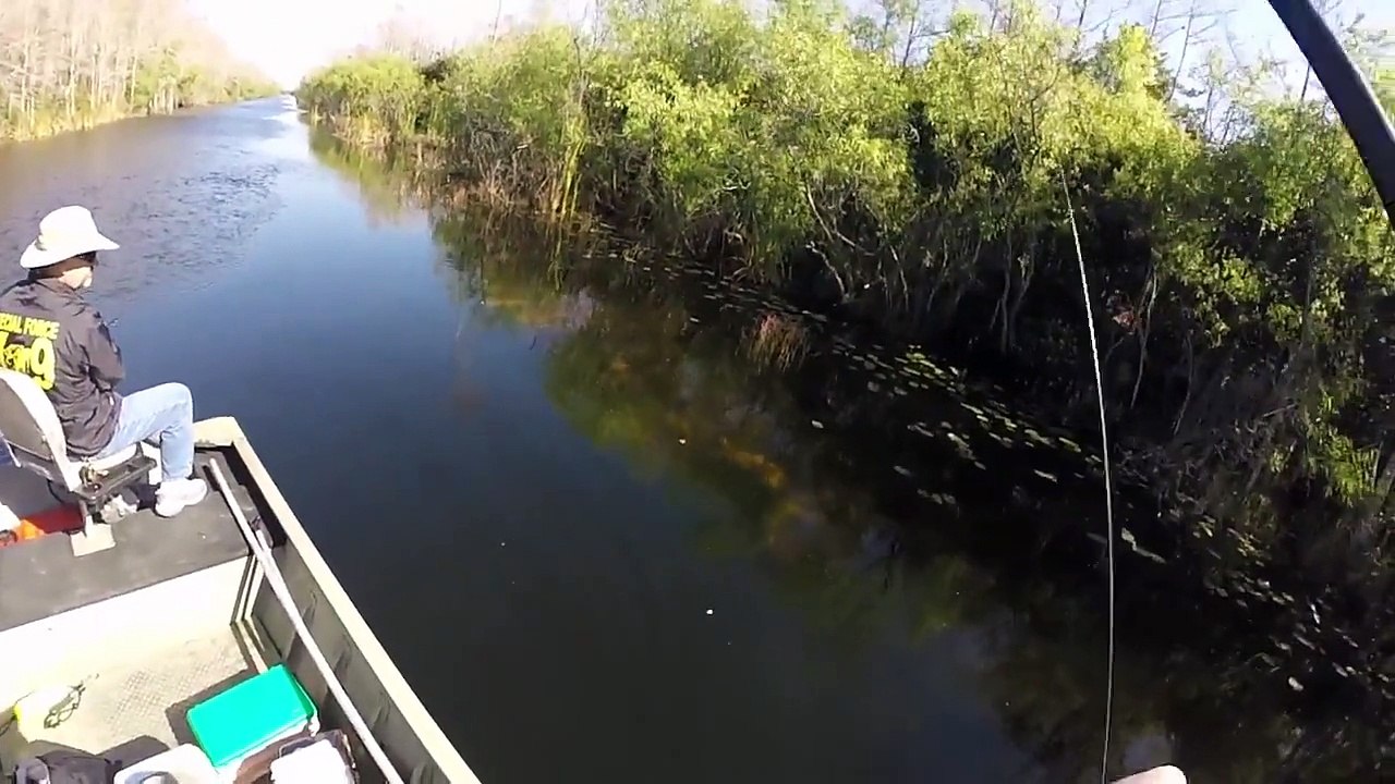 Fishing - Awesome Fishing - Catch And Release Big Fish - Best Fishing Videos Compilation,