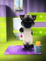 [My Talking Tom] [my tom have grown a lot] everyone should check it out.