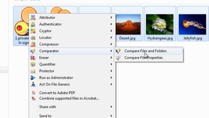 Compare Files and Folders, and File Properties