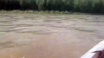 Это Россия, детка!