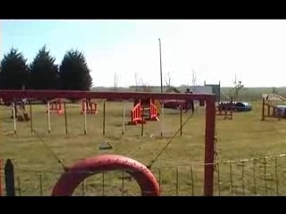 Ravenjumping