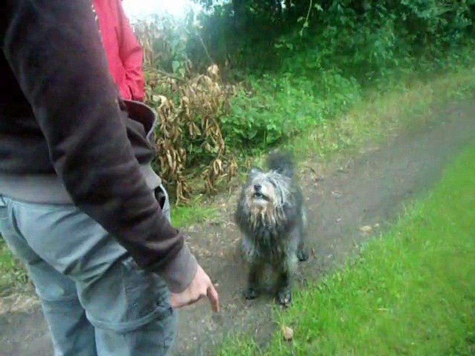 137 Snoopy s'amuse avec Sonia en vacances