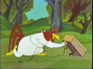 Foghorn Leghorn Wisdom