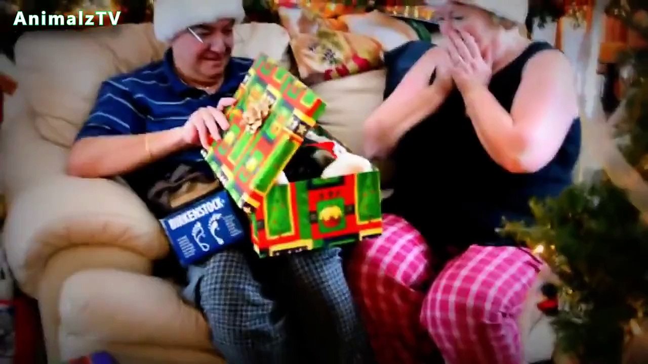 Funny puppies Christmas Puppy Surprise Compilation 2014 2015 29 06 2015