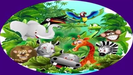 Learn About Wild Animals, Animal Sounds, Fun and Educational Videos for Kids