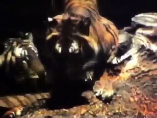 Classic Sesame Street films - Animal pairs / Elephant trunk