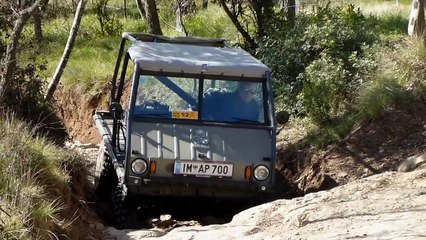 Steyr Puch Haflinger - Les Comes 4x4