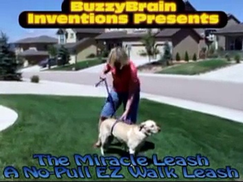 How to train your dog not to pull:  MIRACLE LEASH:  No pull leash for dogs!