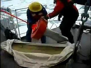 Coast Guard Icebreaker Healy Video