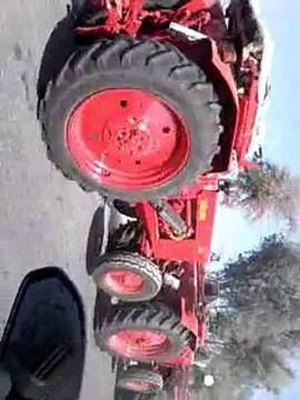 Macaw , Australian gray parrot ,Cocktail birds , Fisher , latino , Australian bajri How to breed and other information (32)