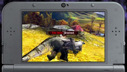 Monster Hunter 4 Ultimate - July DLC Pack