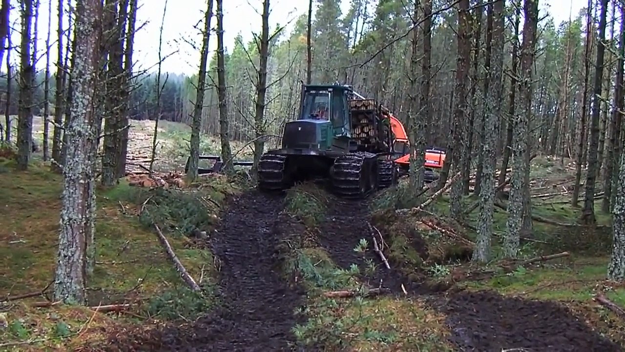 Ponsse Buffalo vs Timberjack 1410D